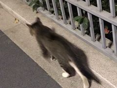 -万达影城(银兴菲林店)