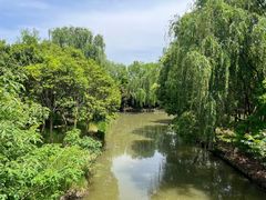 -同里国家湿地公园