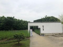 -武汉园博园(武汉自然博物馆)