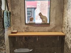 -CABO Coffee