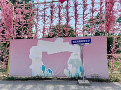 -北京凤凰岭