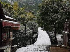 -树山生态村