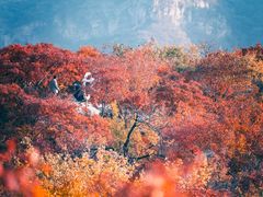 -周口店坡峰岭风景区