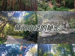 -虎跑公园