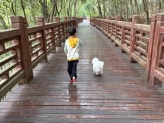 -紫金山山顶公园