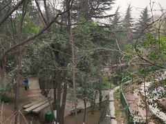 -西安市纺织公园