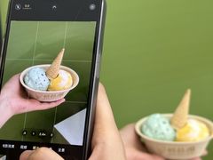 -极拉图·现制冰淇淋(大卫城店)