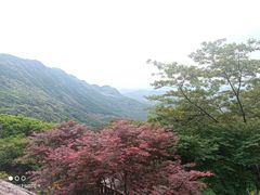 -广州市石门国家森林公园