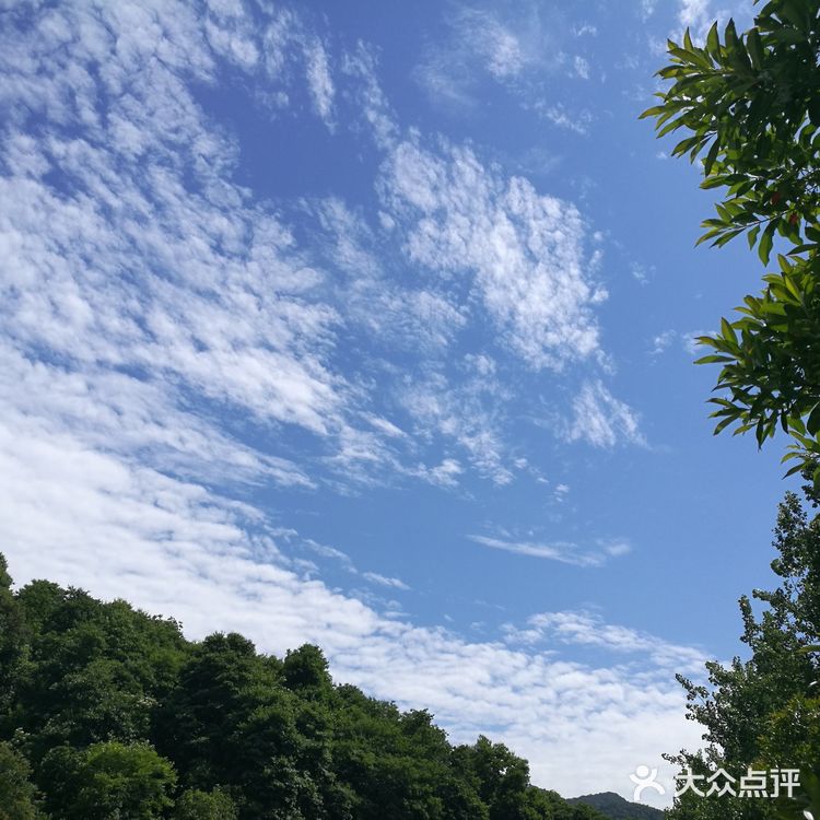 富阳华庭云顶小区， 环境优美， 四周青山绿水