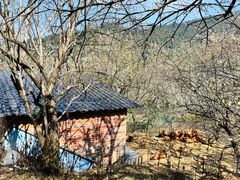 -广州市流溪河国家森林公园