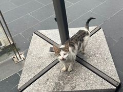 -翠山·映月湖景餐厅(映月湖公园店)