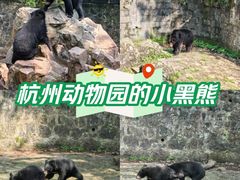 -杭州动物园