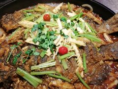 老板恋上鱼-老板恋上鱼(恒隆广场店)