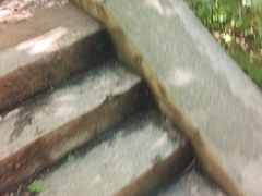 -大连天门山国家森林公园