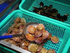 -船歌·鱼水饺青岛菜(金狮广场店)