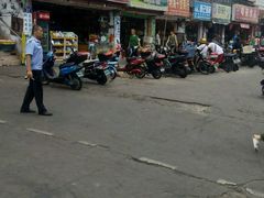 -鸿港海鲜批发市场