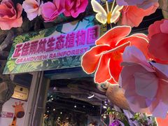 -正佳雨林生态植物园