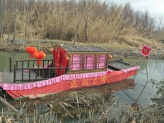 -溱湖国家湿地公园