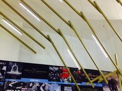 -金逸影城(武汉人信汇IMAX店)