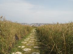 -处女泉风景名胜区