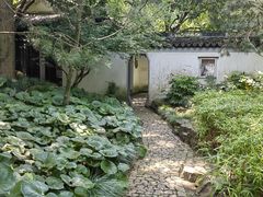 -秋霞圃