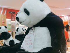 -熊猫邮局(少城店)