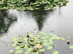 -苏州河梦清园环保主题公园