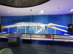 -福州罗源湾海洋世界旅游区