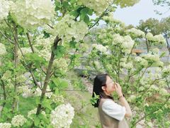 -羊山湖公园
