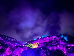 -印象普陀