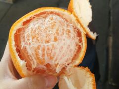 耙耙柑-南京众彩农副产品配送有限公司