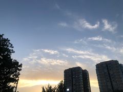-迎燕阁烤羊腿(二环南路店)