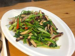 -舟山渔场(临安沙地路店)