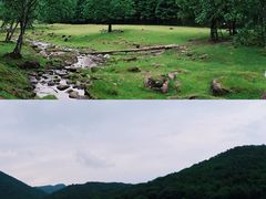 -汤旺河林海奇石景区