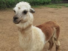 -济南野生动物世界