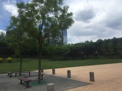 -大望京儿童游乐场