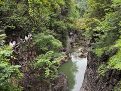 -花果园湿地公园
