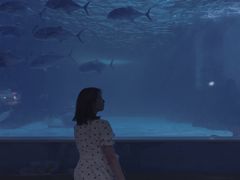 -常州海昌海洋探索馆