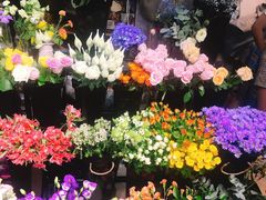 -ChaKo Flora ·茶子花艺 (市北店)