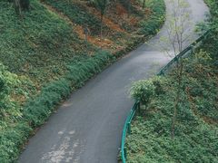-南京老山国家森林公园