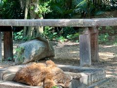 -广州长隆野生动物世界