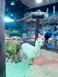 -Zoolung Zoolung动物主题公园(海信广场店)