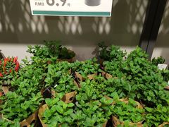 -鹿岛会员店 (龙湖三千集天街店)