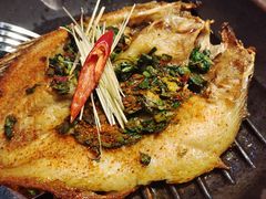 -雀舞云南菜(天津天河城购物中心店)
