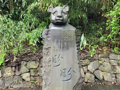 -都江堰中华大熊猫苑