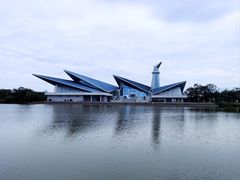 -盐城丹顶鹤湿地生态旅游区