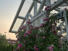 -太阳宫公园