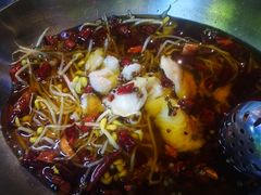 -金百万烤鸭店(马甸店)