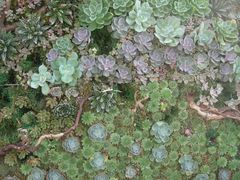 -武清南湖绿博园