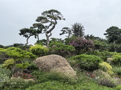 -罗红摄影艺术馆